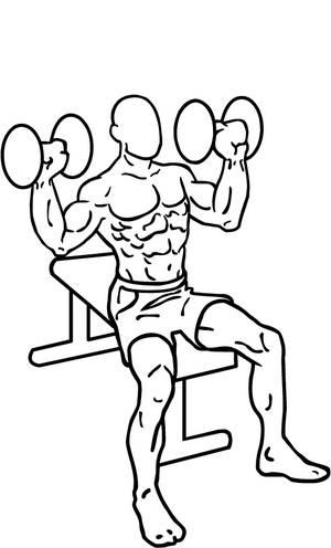 English: an exercise of shoulders